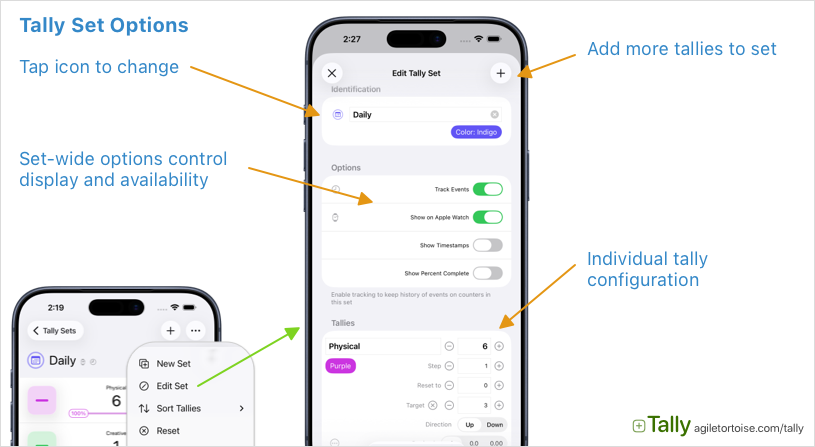 Tally Set Options